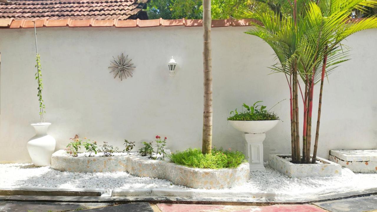 Boho Garden Guest House Mirissa Eksteriør billede
